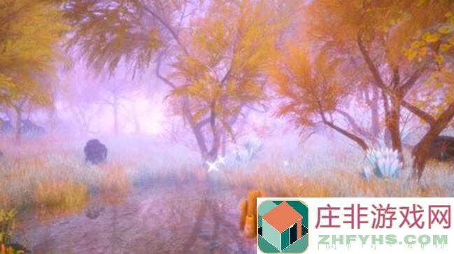 晚安森林深度攻略：新手必看，解锁隐藏乐趣，轻松快速通关秘籍曝光！