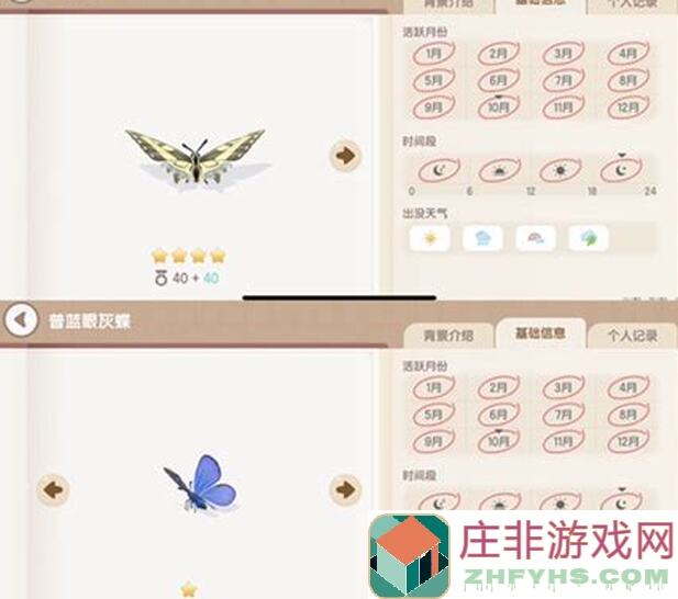 心动小镇奇灵夜新鱼和新虫子位置攻略，快来掌握这心动搭配！