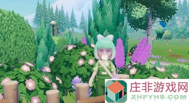 心动小镇雨天彩虹攻略：教你如何轻松拍鸟，解锁心动秘籍！