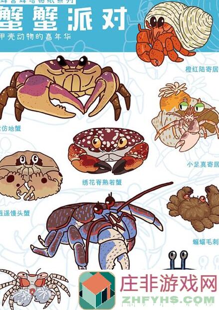 橡子屋收集物分类规律大揭秘！手把手教你轻松速成