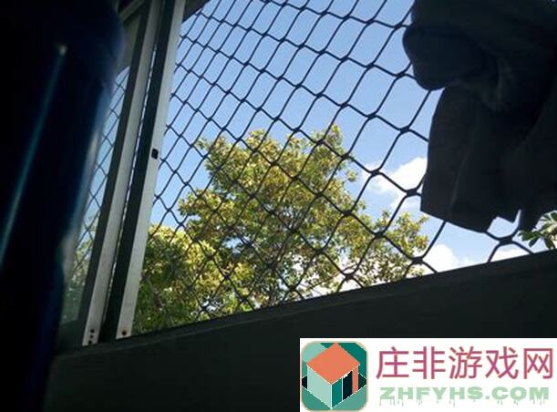 新手必看！托拉姆物语新金属点位曝光，秘银刷取攻略全解析！