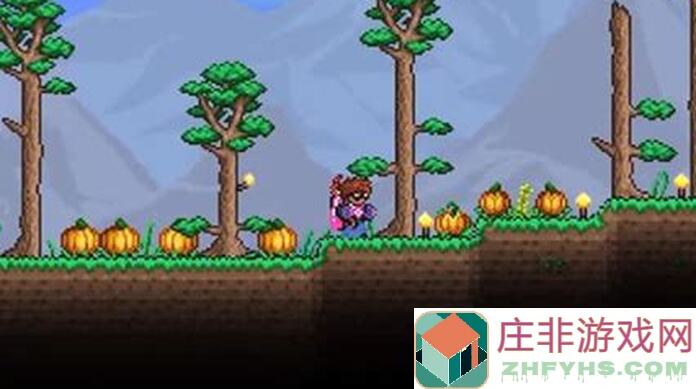 泰拉瑞亚专家大师难度打三王秘籍大公开