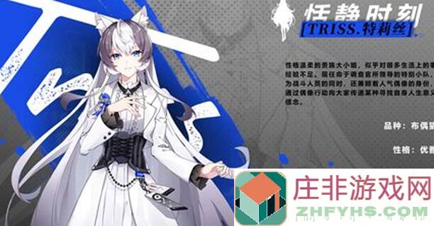 猫之城25号联动大揭秘：全新角色爆料，速来GET攻略！