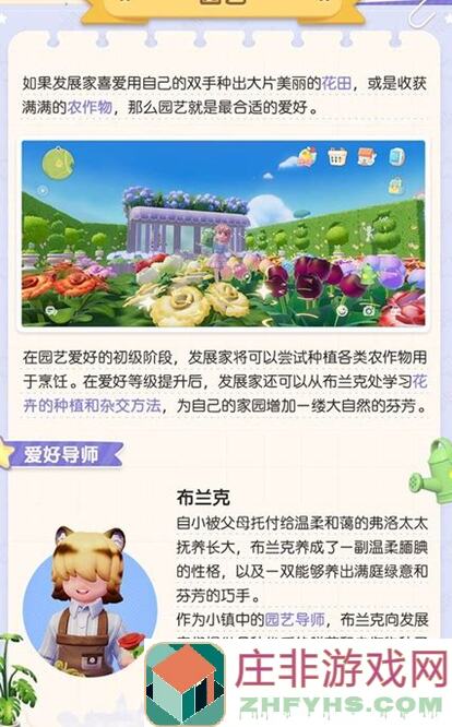 心动小镇烹饪大揭秘：多个灶台组合烹饪全攻略