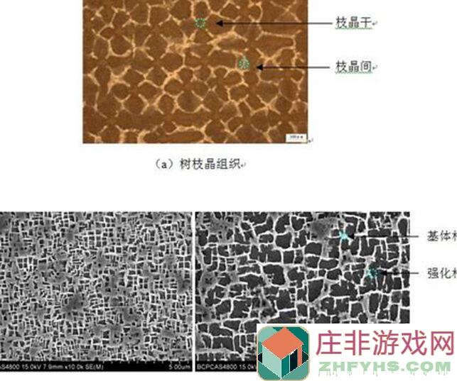 合金机兵攻略：深度解析深渊3打法，推荐必看！你确定不学这些通关技巧？