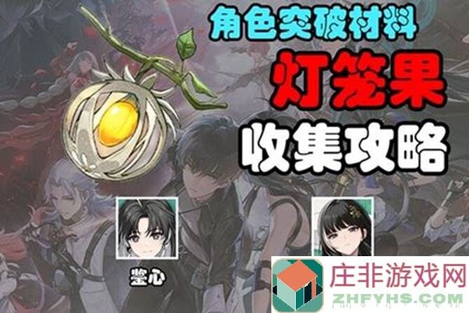 一招教你快速收集鸣潮角色突破材料灯笼果，突破无压力！
