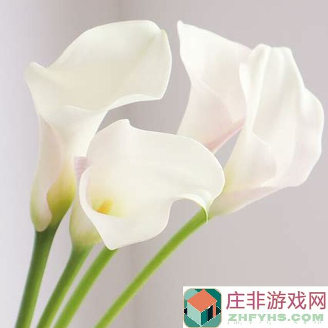 白飘党速成千万秒伤水剑装备属性解析