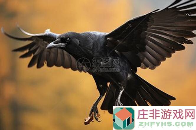 乌鸦之霜1.1.80版简易地图攻略，错过血亏！教你速通，好玩吗速刷方法大揭秘！