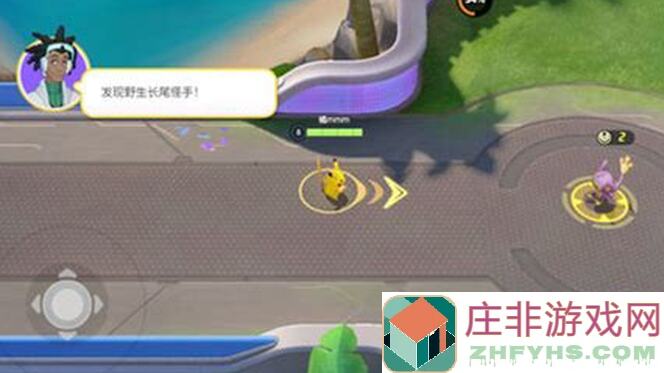 宝可梦大集结新手上路，货币攻略指南，轻松掌握赚钱技巧！