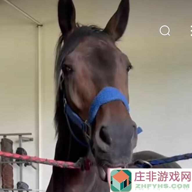 像素世界：冒险起源TapTap测试版小笔记本速刷攻略，带你一秒通关！