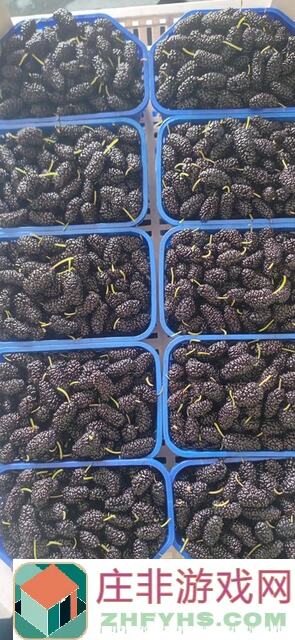 晚安森林活动限时加长，不熬夜怎能解锁隐藏秘籍？快来快来！不要停下来呀~