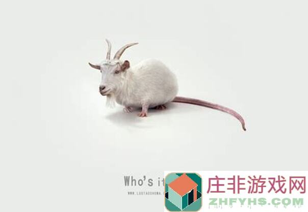 什么新手玩法上分阵容，金铲铲之战执法发明狙最香全收集